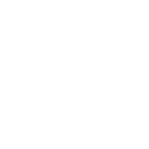 PDF