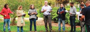 qtra tree risk assessment team