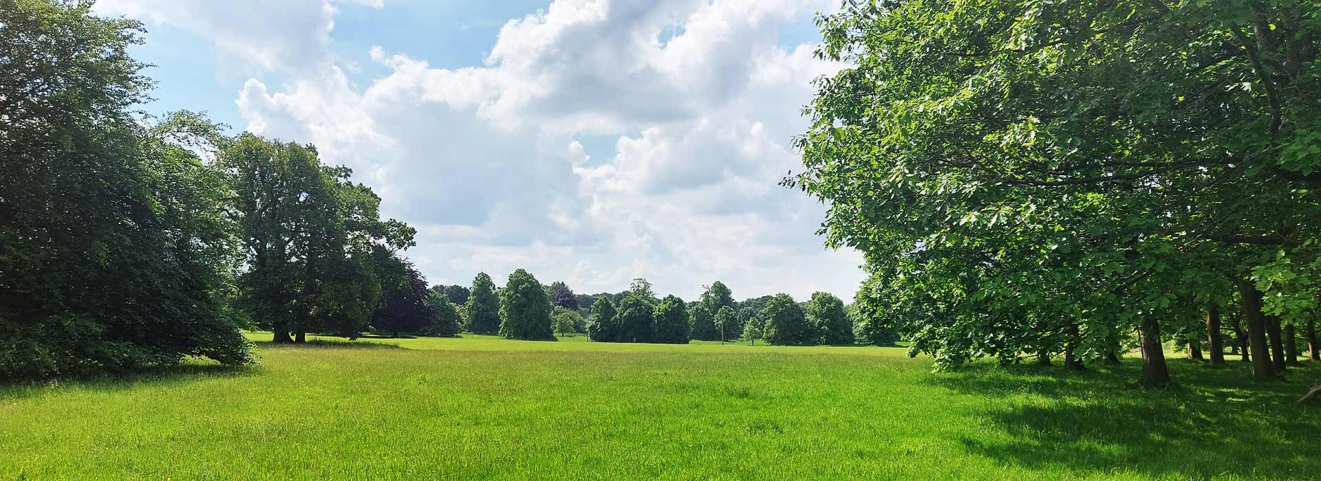 tree risk assessment